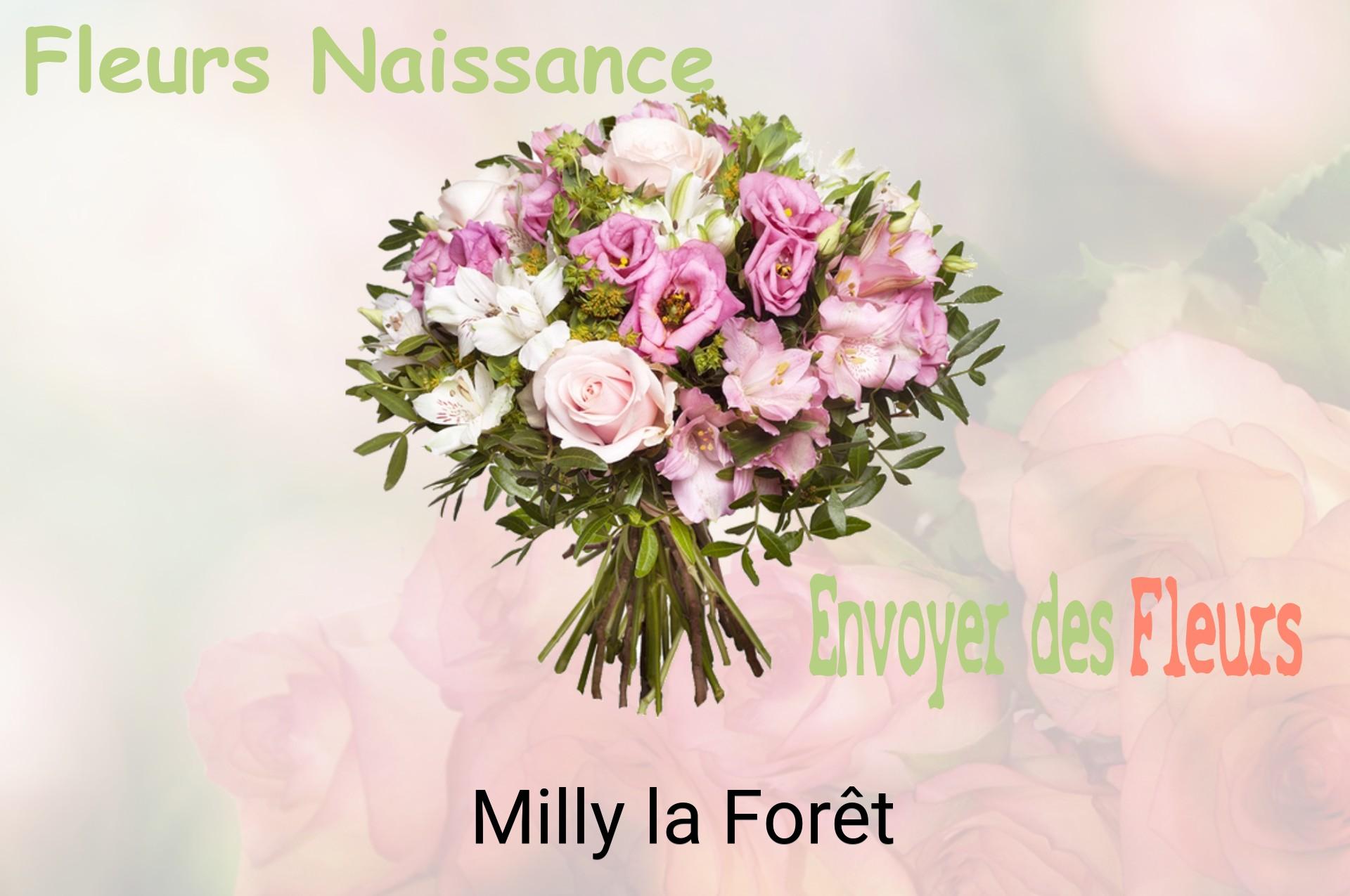 Bouquet de fleurs de naissance livré à Milly-la-Forêt