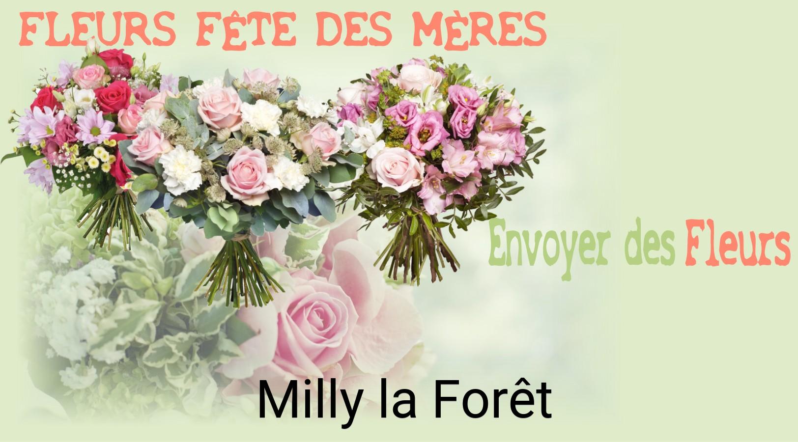 Bouquet de Fête des Mères livré à Milly-la-Forêt